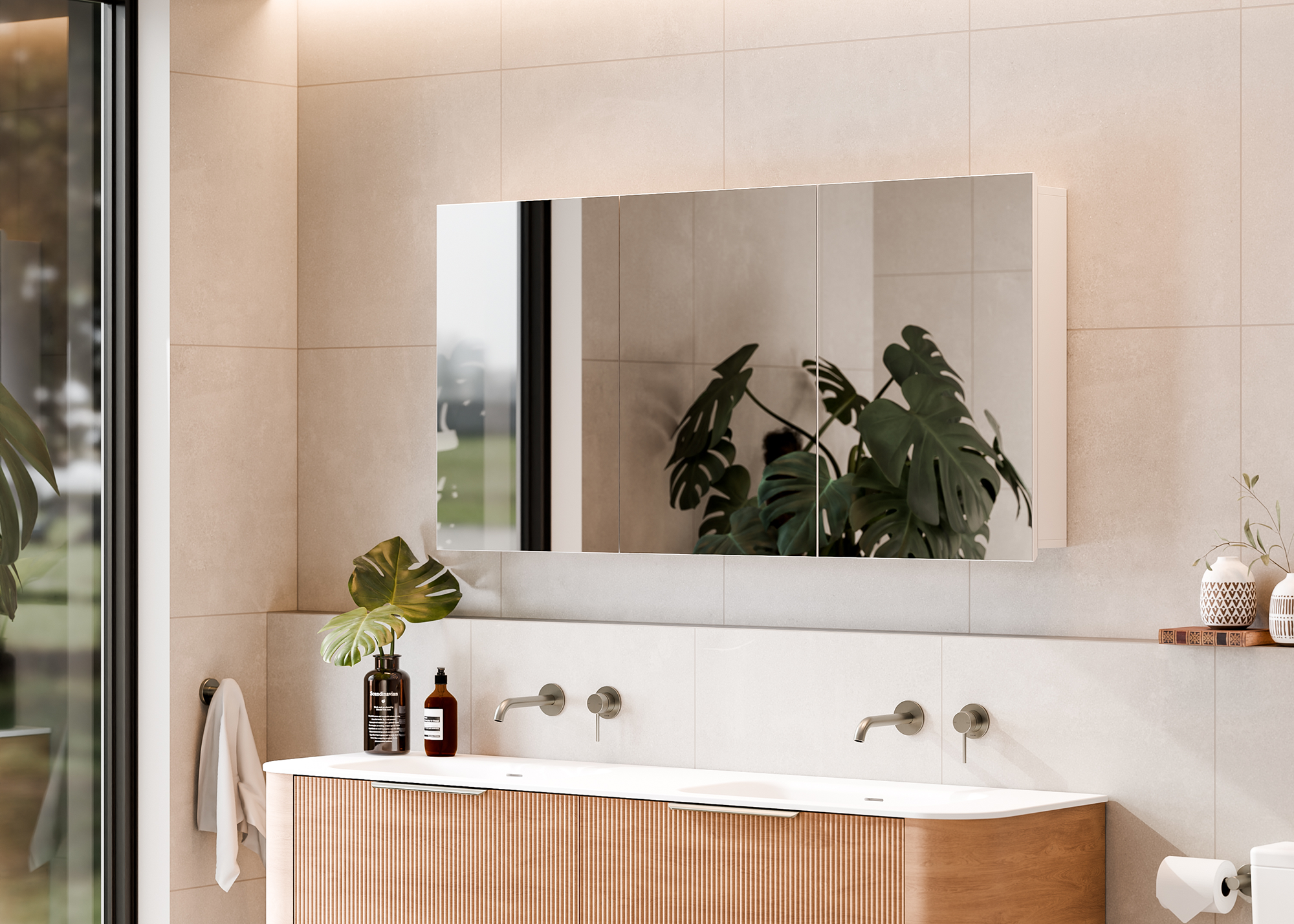 Mirror Cabinets