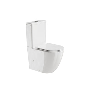 Flow Typhoon Standard BTW Toilet Suite