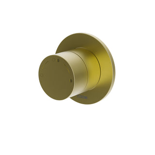 nature-diverter-valve-brushed-brass