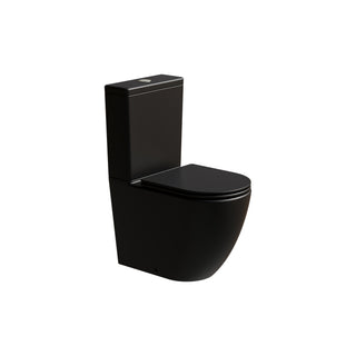 Flow Typhoon Standard BTW Toilet Suite
