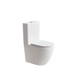 Flow Typhoon Standard BTW Toilet Suite