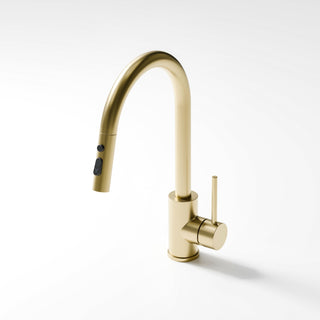 Premiere Pull Down Kitchen Mixer